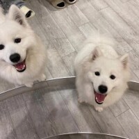 おはようございます☕️