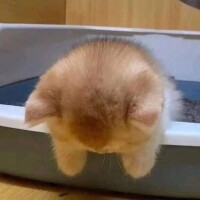 おはよ✨