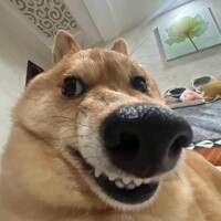 💖退勤している💖
