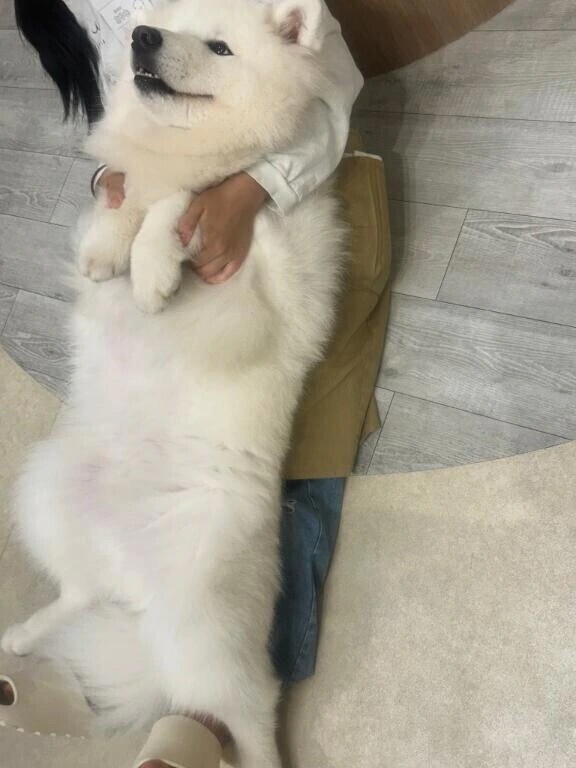 おやすみなさい…☆
