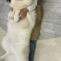 おやすみなさい…☆