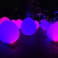 本日12-17時で出勤です🌟