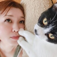 明日は