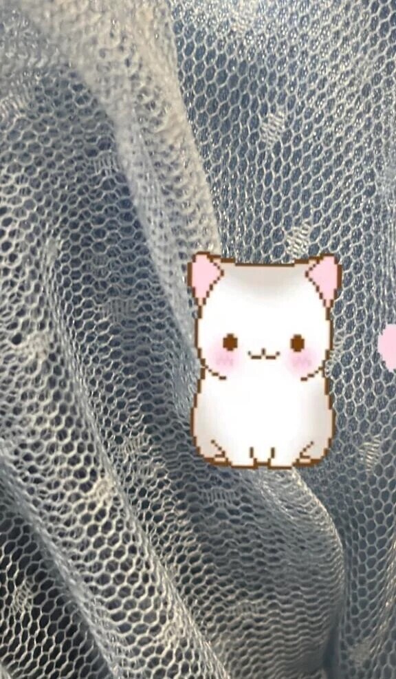 今日のドレスは……👗