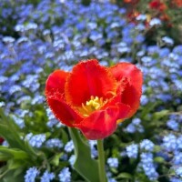120分のお兄様💐