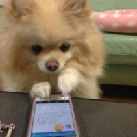 もしもーし、聞こえてるぅ？