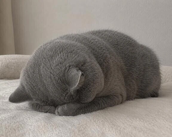 ごめんなさい🙇‍♀️
