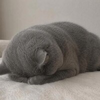 ごめんなさい🙇‍♀️