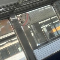 新人　あい