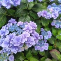 おはようございます🩷