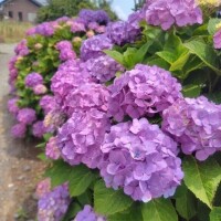 また続きは明日綴ります🥰