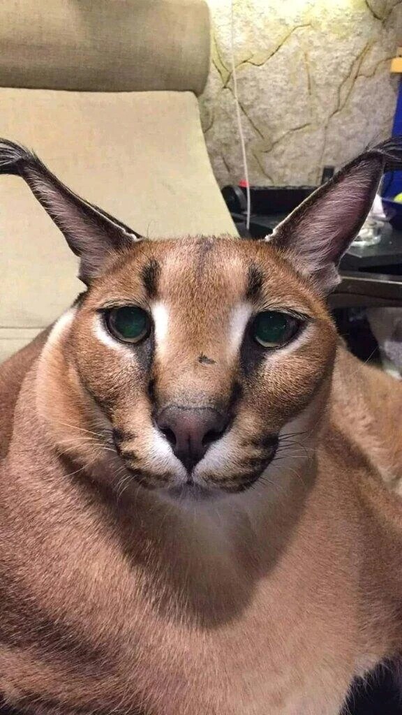 観覧ありがとうございます