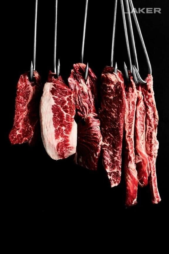 肉食と草食