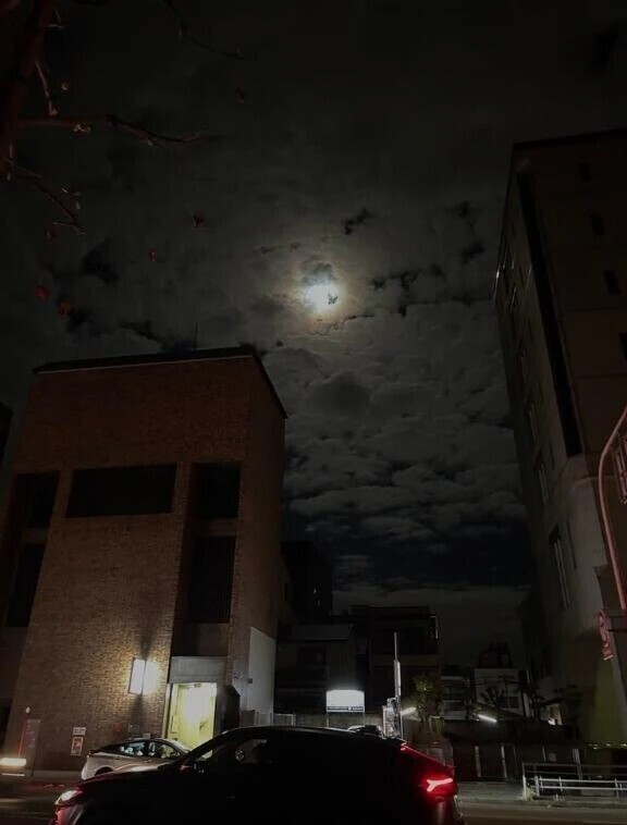 パパとよんで