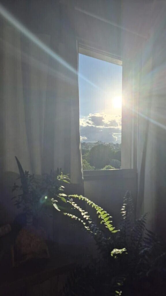 こんにちわ☀