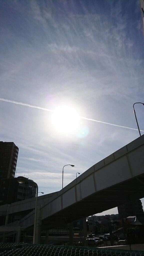 今朝ですが