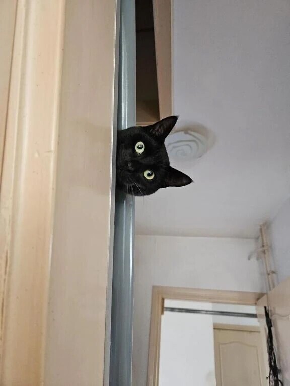 視点