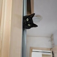 いつき