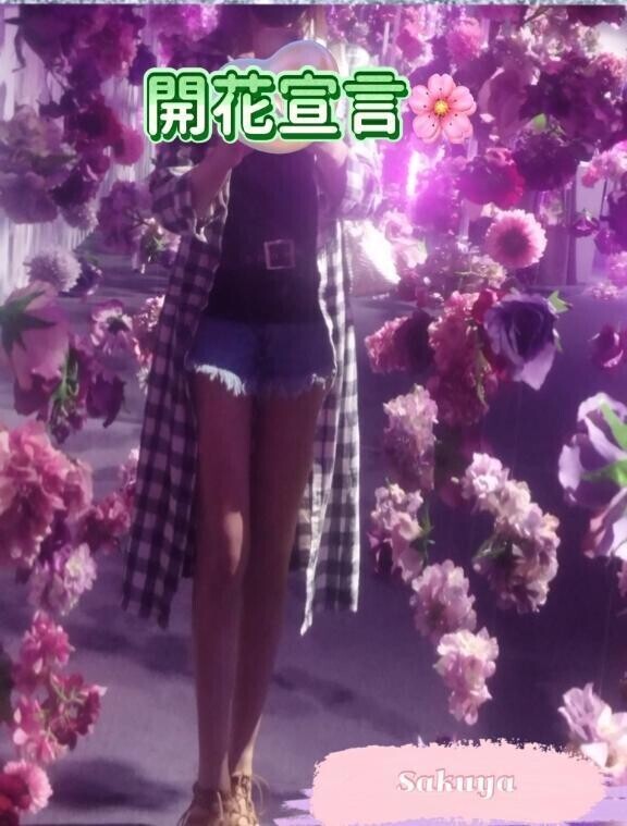 開花宣言🌸