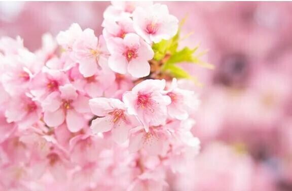 3月…