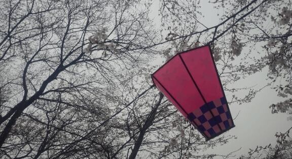 次回出勤予定♡