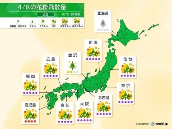 花粉