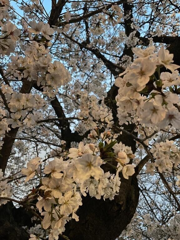 もしかしたら‥
