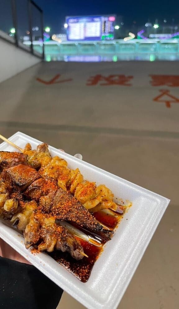 続編