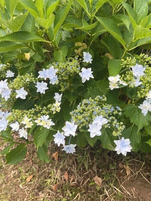 もう少し😄