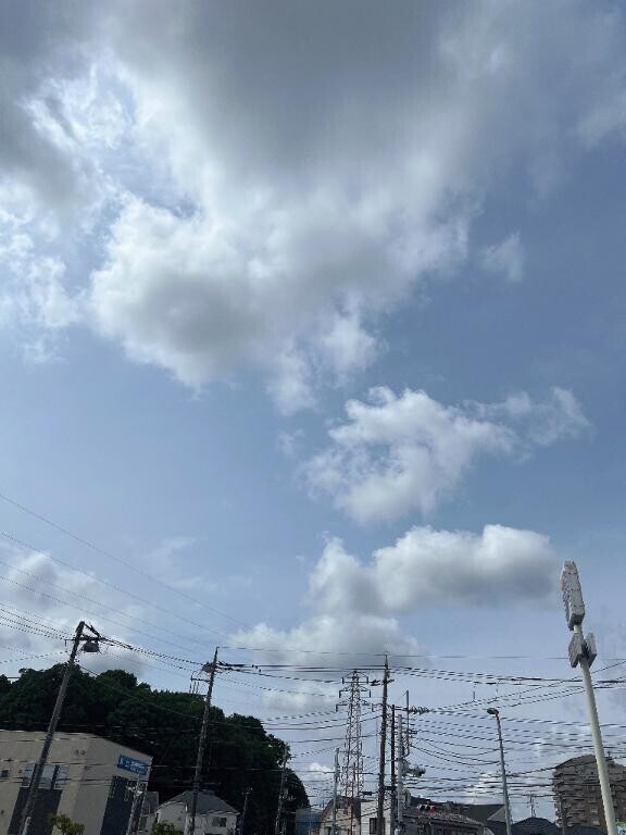 カラー😁