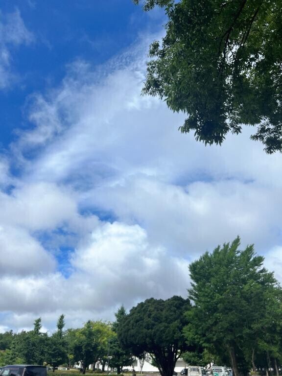 晴れてきた☀️.°