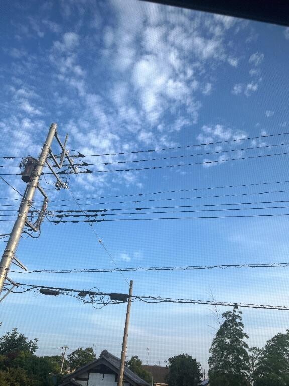 やっと(●´ϖ`●)