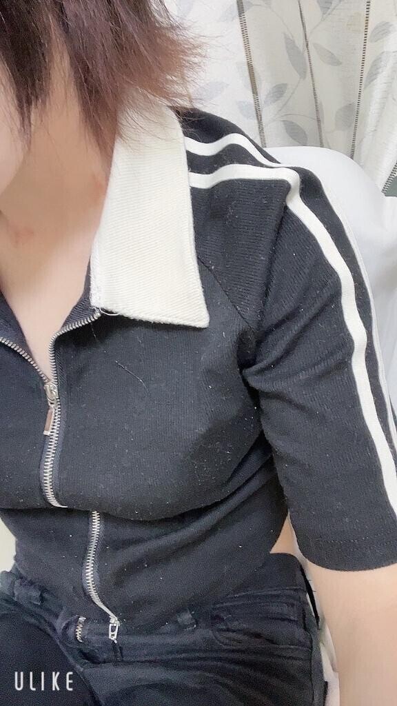 本日