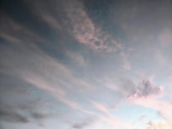 夏