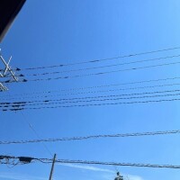 かい