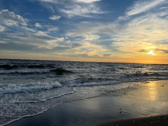 海