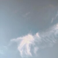 りさ