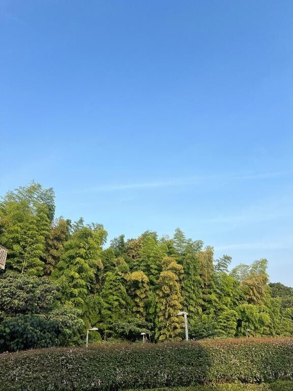 急遽💓‪今日も