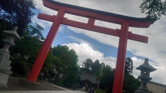 雨