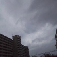 みか