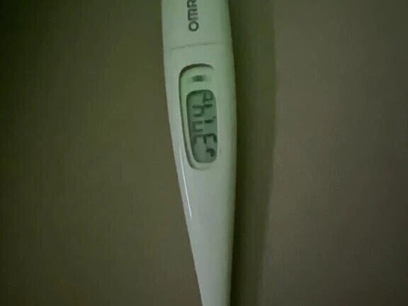 マジ(   ꒪꒫꒪)