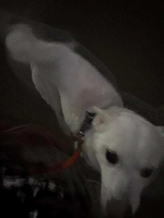 参ったな(*´ω｀*)