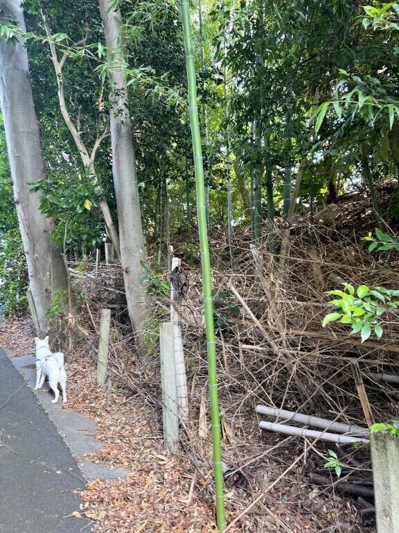 ☀️𝐺𝑜𝑜𝑑 𝑚𝑜𝑟𝑛𝑖𝑛𝑔☀️