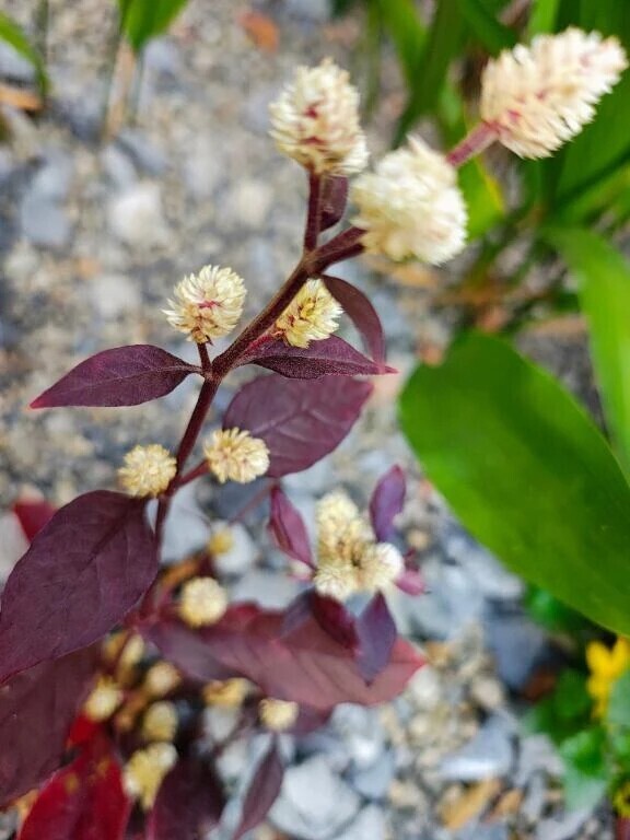 今日は、、、♡