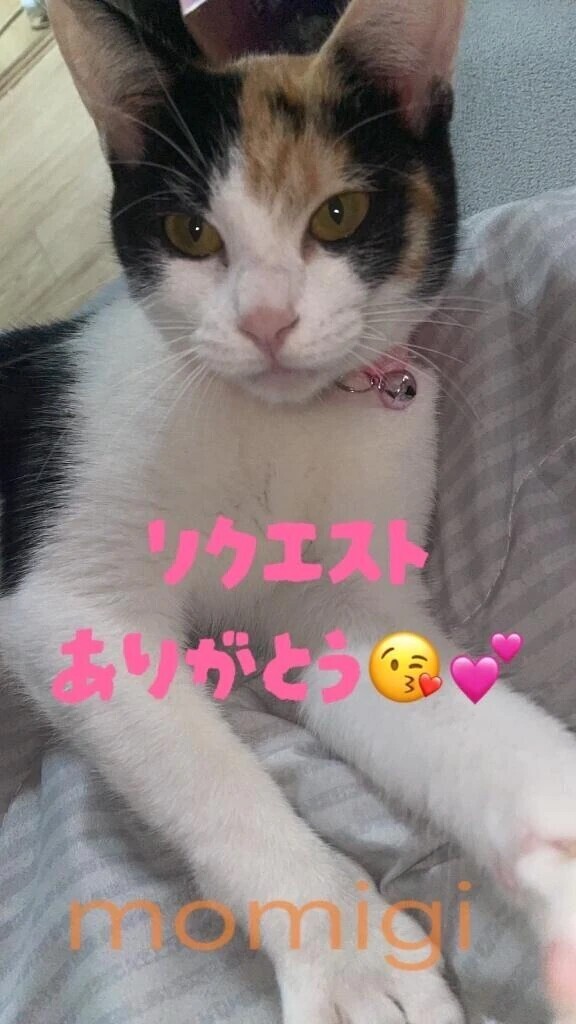 リクエストありがとう😘💕