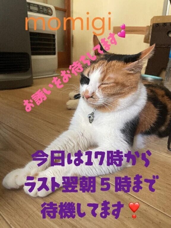 こんにちは〜☀️