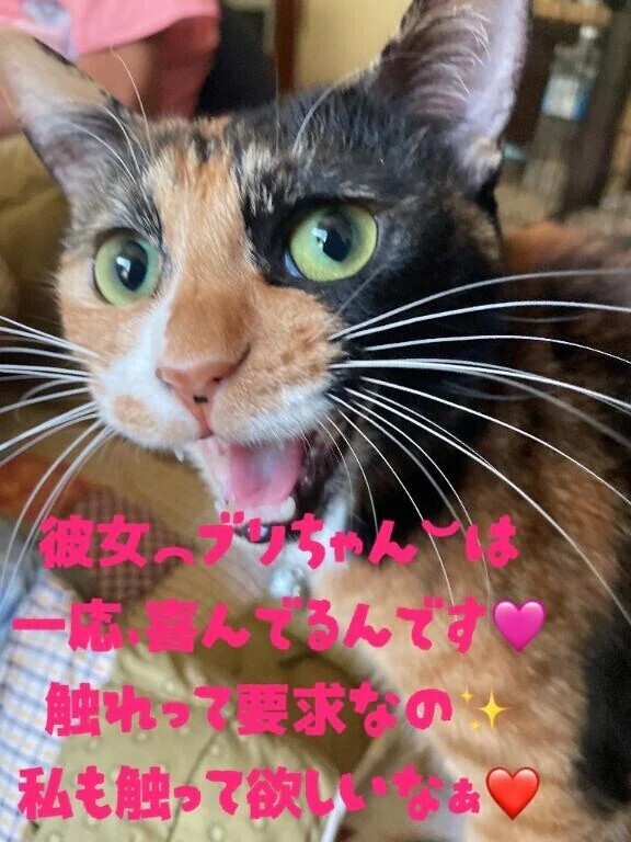 衝撃的な一枚📸