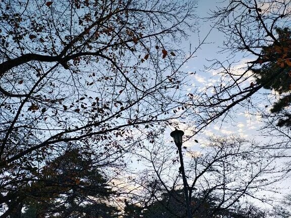 なかった、、、