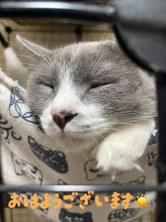 おはようございます☀️