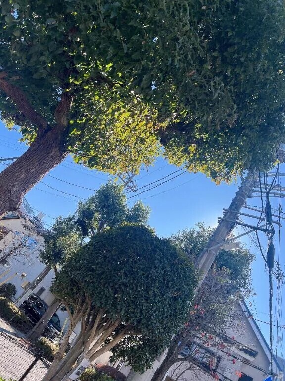 ｷｬ─(*ᵒ̴̶̷͈᷄ᗨᵒ̴̶̷͈᷅)─♡